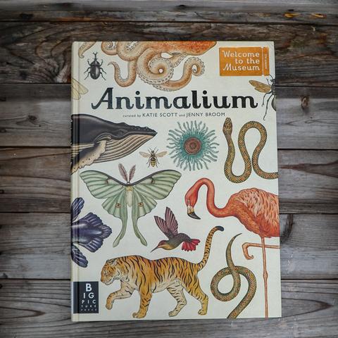 Animalium