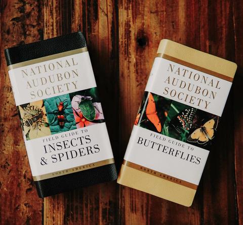Audubon Field Guide