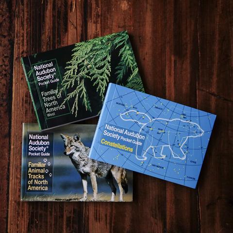 Audubon Pocket Field Guides
